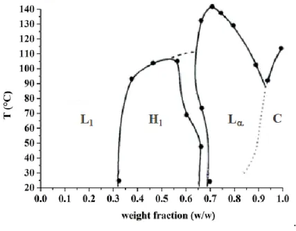 Figure 5. Phase diagram (weight fraction versus temperature) of C 12 DAO-linear/water system