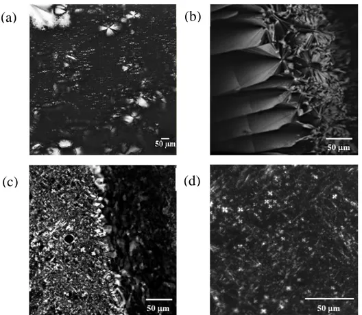 Figure 16. Optical microscopy images corresponding to the systems: (a) L   lamellar phase of  C 10 DAO-branched at w s =0.70; (b) H 1  hexagonal phase (fan-like texture) of C 10 DAO-linear at 