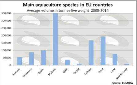 Fig. I.3 In Europe mussels are the main aquaculture species (EUMOFA, 2016). 