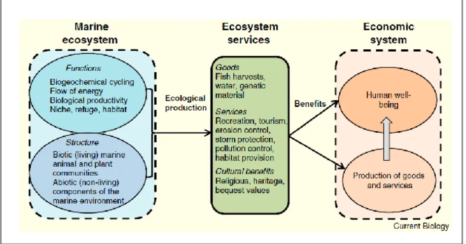 Fig.  1.2  From  Barbier  et  al.,  2017.  Marine  ecosystems  provide  ecosystem  services  that  generate economic benefits, not only with the conventional marketed goods and services,  but  also  with  ecological  functions  and  productions  whose  eco