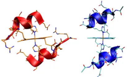 Figure  1.15.  NMR  (on  the  left)  and  X-ray  (on  the  right)  structures  of  