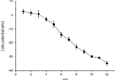 Figure 8. Zeta-potential of BVPC FFS at different pH values 