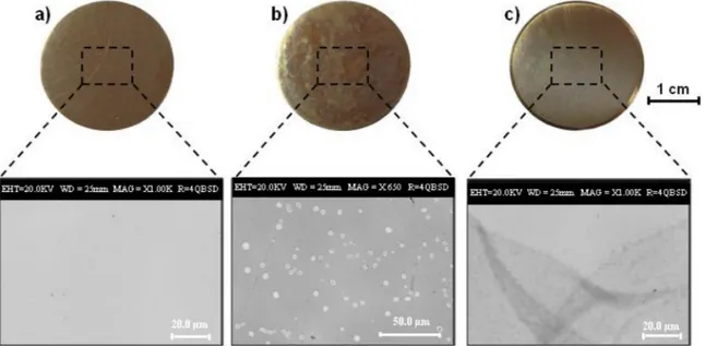 Fig. 3. SEM image and EDS analyses of chitosan ﬁlms prepared from AcOH solutions deposited on alloy CNR128 substrate