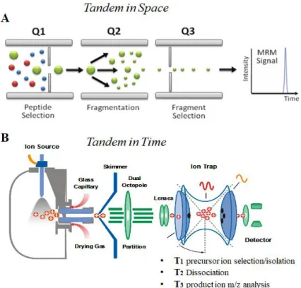 Figure  4:Schematic  representation  of  tandem-in-space  (A)  and  tandem-in-time  (B) 