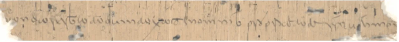 Fig. 1. Esempio di scrittura curiale in un documento privato romano di X secolo redatto su papiro, conservato presso l’Archivio di Stato di Marburgo, edito in P.F