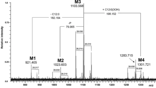 Figure 4.3: Negative ions mass spectrum of the lipid A NH4OH  from  Colwellia 