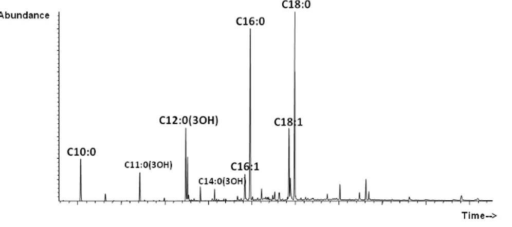 Figure 5.1: Chemical composition of lipid a portion.