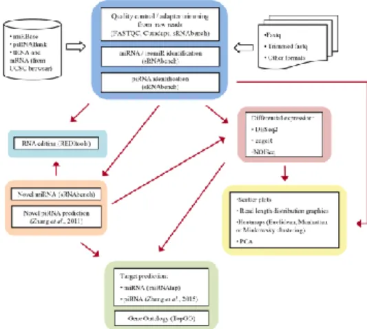 Figure 4.1:  iSmaRT work-flow. 