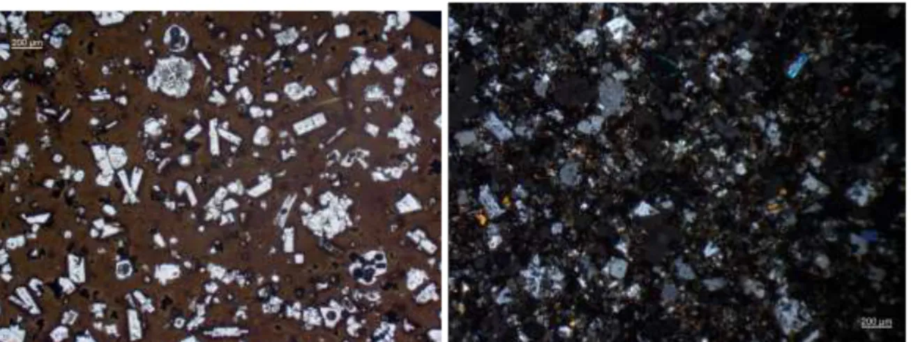 Figure 3.17-3.18 Plane and cross polarized light images of the texture of 2002 representative sample