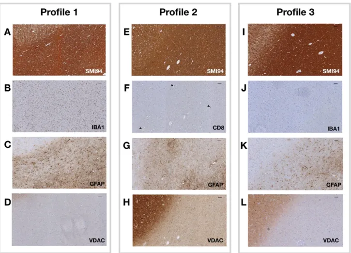 Figure 4. Pathology profiles. 