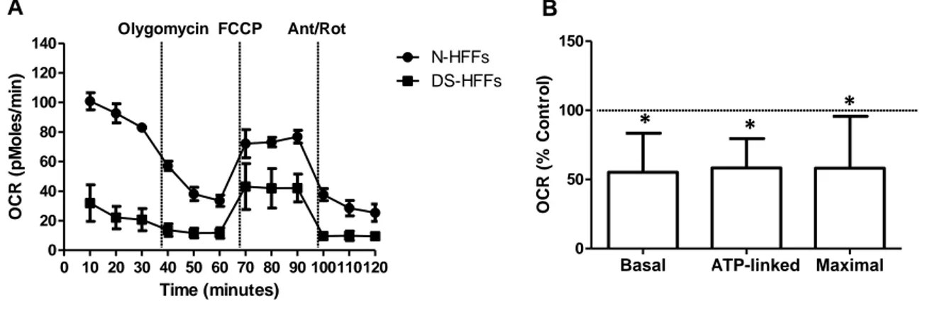 Figure 8. DS-HFFs manifest a reduced respiratory activity.(A) Representative curves of OCR in N-HFFs and 