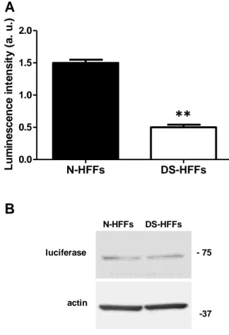 Figure 9. The amount of ATP content is decreased in DS-HFFs. (A) Basal ATP in DS-HFFs versus N-HFFs, 