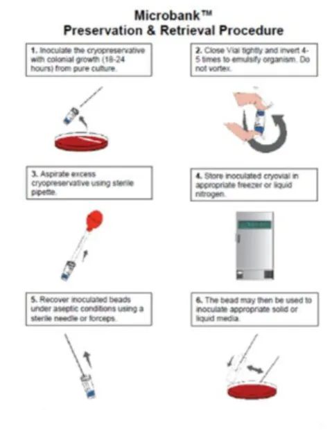 Fig. 1.10 Microbank™: preservation and retrieval procedure (Pro-lab Diagnostics)                   