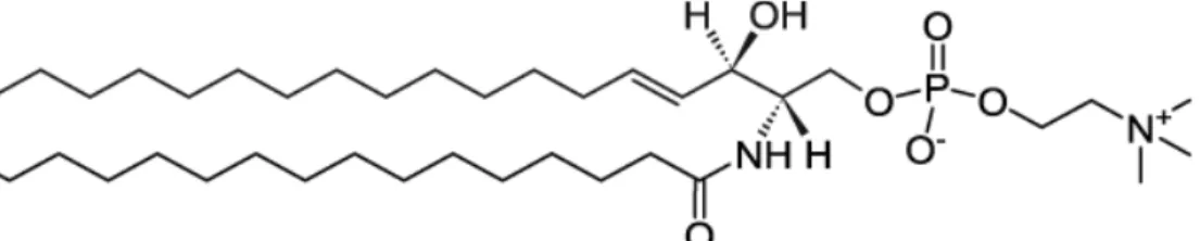Fig. 2.8 The chemical structure of palmitoyl-sphingomyelin. Taken from https://avantilipids.com/