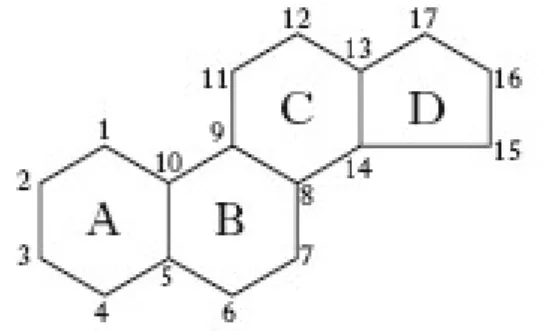 Fig. 2.9 The chemical structure of sterol which constitutes the basic structure of all sterols