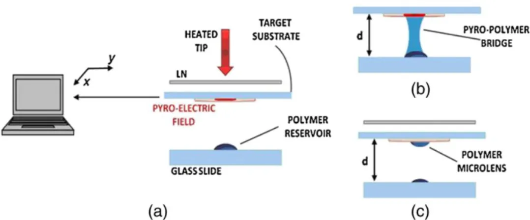 Figure 2.8. Scheme of the printing system (a) consisting of a LN plate, a heat 