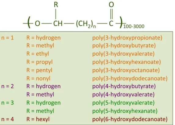 Figure 2.2. General structure of polyhydroxyalkanoates (PHAs). The most studied PHA type 