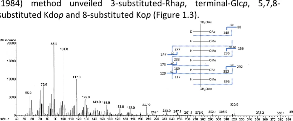 Figure 3.3. The EI-MS fragmentation pattern of 8-substituted-Kop PMAA derivative 
