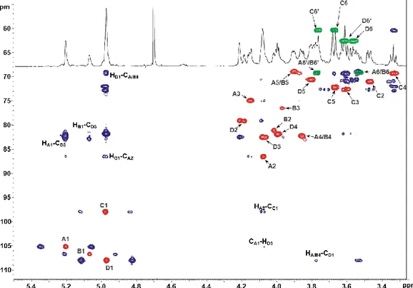 Figure 3.5 Superposed sections of  1 H  13 C HSQC (red and green) and  1 H  13 C HMBC (blue) and  1 H NMR spectra of PS1