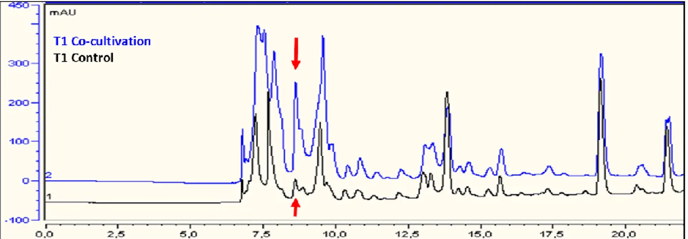 Figure  6:  Comparison  of  Lysobacter  sp.  T1  HPLC  chromatograms  when  it  is  grown  in  co-cultivation 