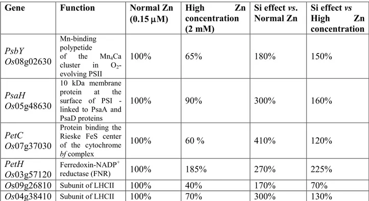 Table  1  –  Effect  of  Si  supplementation  on  photosynthetic  gene  expression  in  rice  (Oryza  sativa)  plants  grown  under  normal  and  high  Zn  conditions  indicated  as  percentage  of  expression  under  normal Zn conditions (0.15 M)