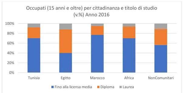 Figura 3 Occupati (15 anni e oltre) per cittadinanza e titolo di studio (v.%) Anno 2016