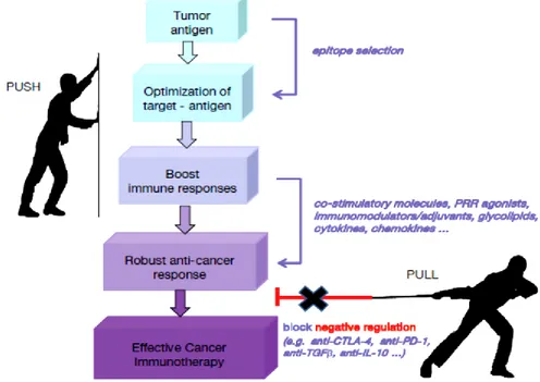 Figure 2. The synergy between different cancer treatments. The use of 