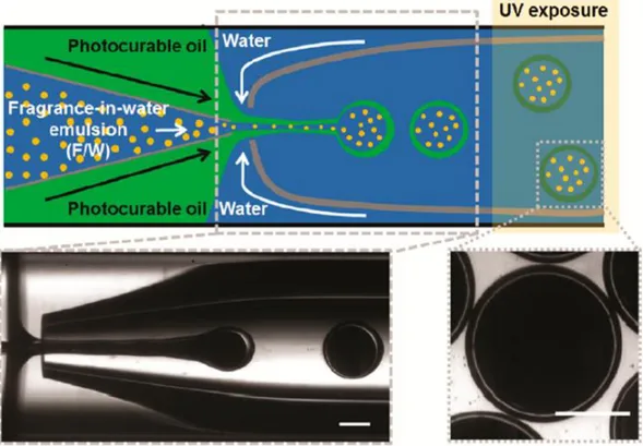 Figure 1.2.2 – Schematic illustration of the glass capillary microfluidic device for 