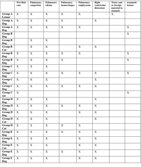 Tab. 2 Macroscopic Lesions of Drowning observed in study animals stratified by group   Wet Hair  coat   Pulmonary congestion  Pulmonary edema  Pulmonary  hemorrhages  Pulmonary  emphysema  Right  ventricular  distension  Water and or foreign  material in  