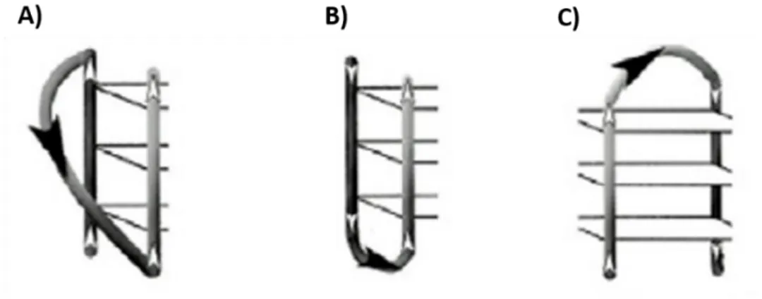 Figure 4. Different types of linking loops in G-quadruplex structures: A) propeller, B) lateral and C) 
