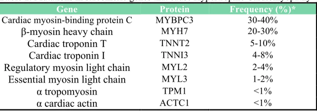 Table 1: Mutations in sarcomeric genes that cause Hypertrophic Cardiomyopathy  