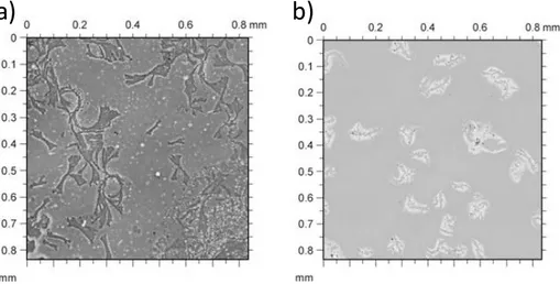 Figure 18: 2-dimenson map of eumelanin with PS barrier at a)38°C-50RH PS S q =85 nm;  b) 38°C-70RH S q =70 