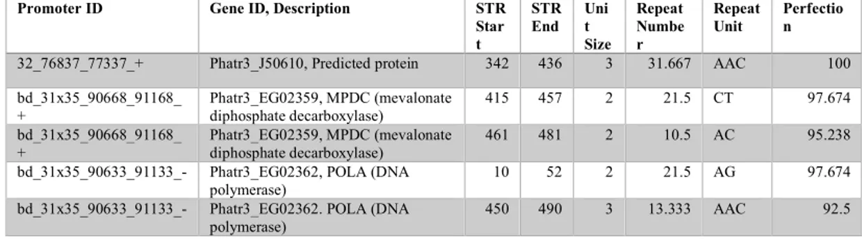 Table 3. Promoter STRs selected for modular cloning analysis. 