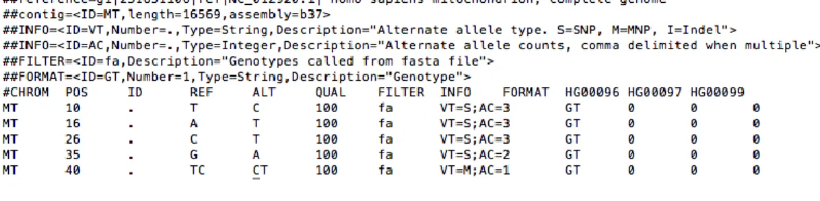 Figura 1.3. Prime righe di un file in formato VCF. Le linee che iniziano col simbolo 