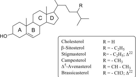 Figure 1.18. Tetracyclic structure (A-B-C-D rings) of sterols and some examples differing in the aliphatic  –R chain