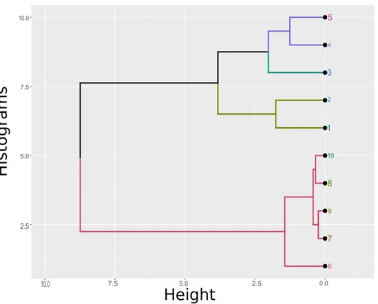 Figure 2.2: Dendrogram of hierarchical agglomerative cluster on 10 his- his-tograms. Different colors indicate different level of agglomeration at different height.