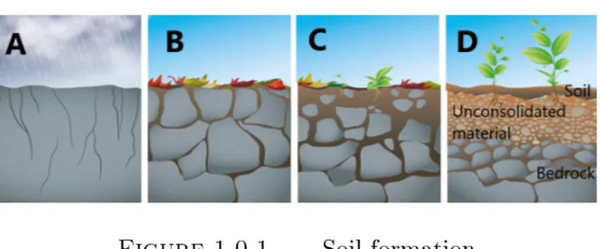 Figure 1.0.1. Soil formation