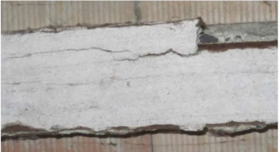 Fig. 19  - Fessurazione longitudinale e distacco del copriferro in una trave soggetta a corrosione 