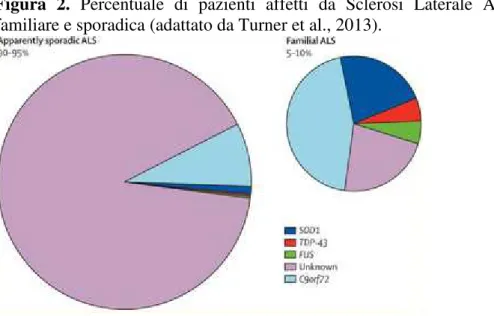 Figura  2.   Percentuale  di  pazienti  affetti  da  Sclerosi  Laterale  Amiotrofica  (SLA)  di  origine  familiare e sporadica (adattato da Turner et al., 2013)