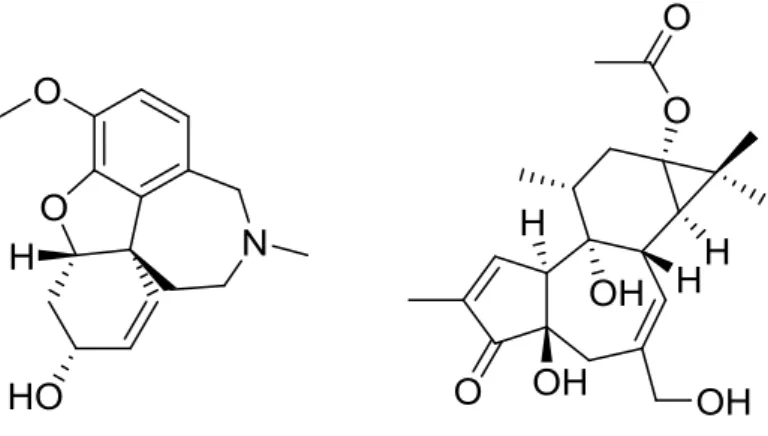Figure 1.1 Structures of galanthamine and prostratin 