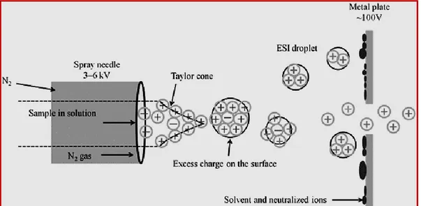 Figure 2.1 ESI mass spectrometry 