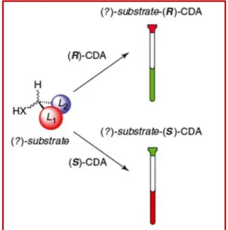 Figure 2.4 Derivatization of the substrate with CDA 