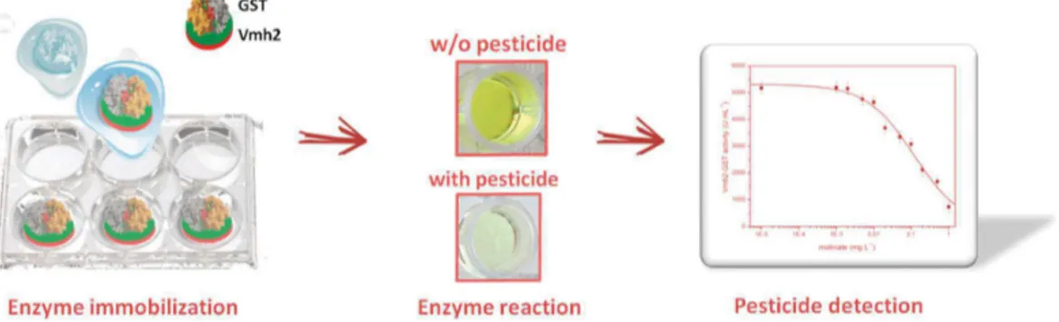 Figure 3. Pesticide biosensor developed on polystyrene multiwell plate coated with Vmh2-GST