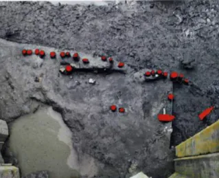 Figura 4. L'area della palificata di fondazione vista dall'alto: in rosso sono evidenziate le testate dei pali (da C AMILLI -S ETARI