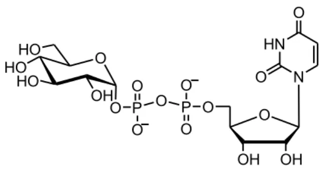 Figure 6 Nucleotide 5’-Diphospho Sugar. 