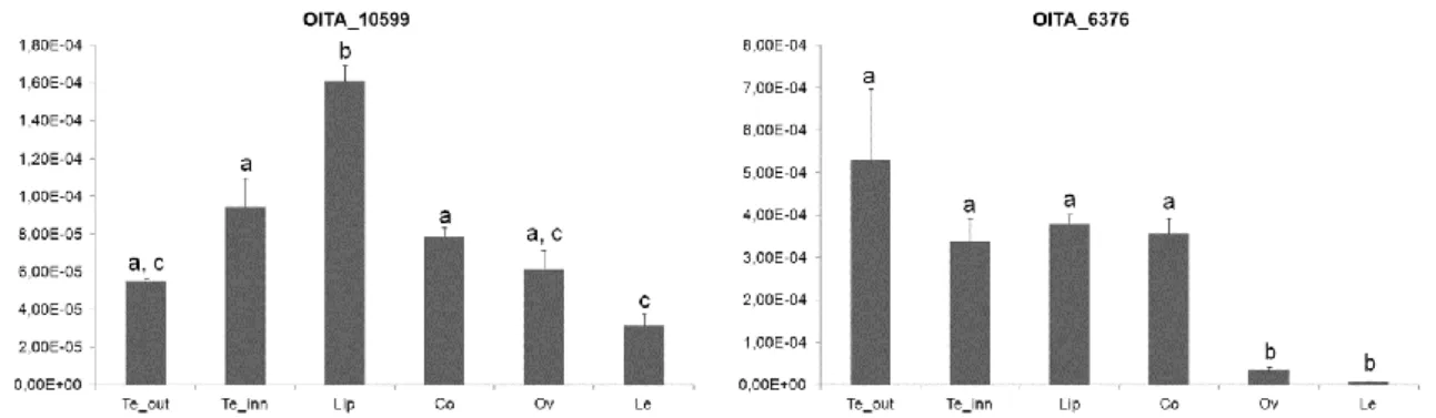 Fig. 14 Expression pattern of the DRIF1/2-like genes of O. italica.  Reprinted from Valoroso et al