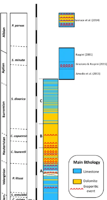 Figure 5 Stratigraphic distribution of early dolomite and evaporites in the  Lower Cretaceous shallow-water carbonates of Mt