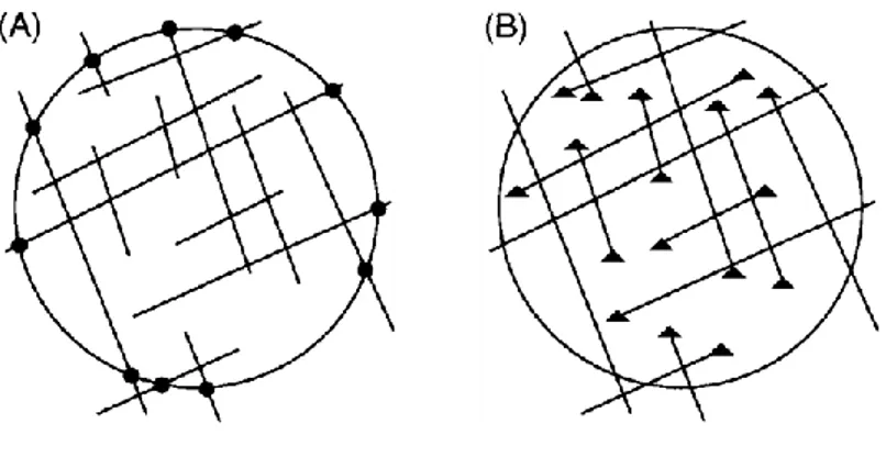 Figure 8 Fracture trace pattern with circular estimators. (A) Solid dots are  intersection  points  (n)  between  fractures  and  circle