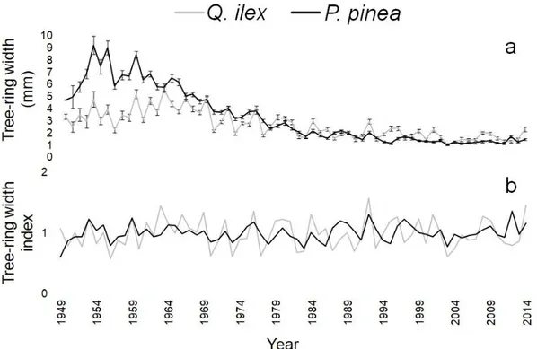 Fig. 2 Raw (a) and detrended (b) tree-ring width annual chronologies of the two species (Q