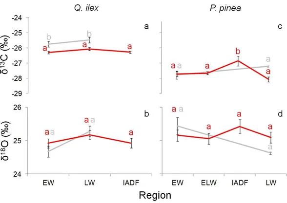 Fig. 6 δ 13 C and δ 18 O most common intra-annual trends of rings with (in red) and without IADFs (in 